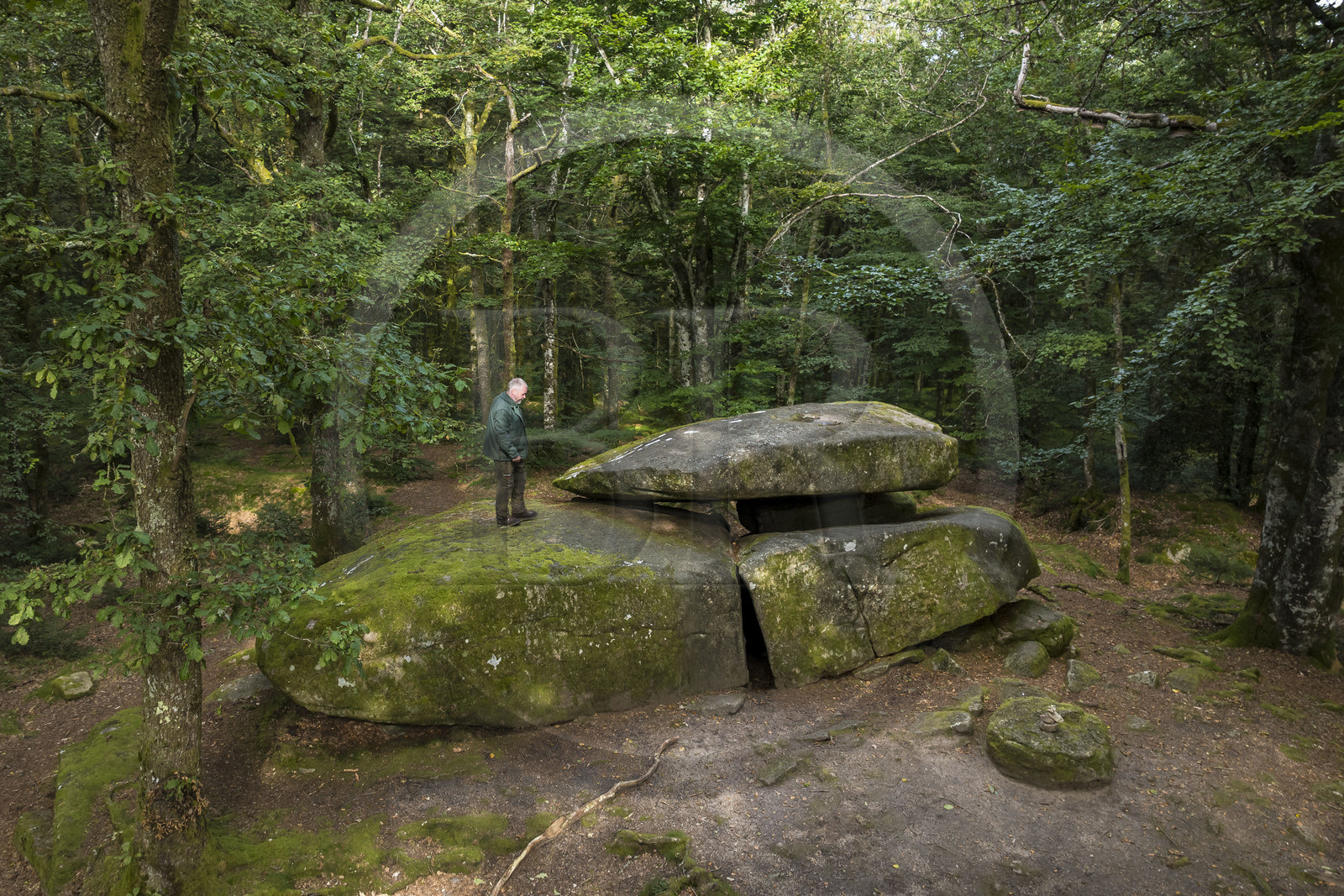 France, Nievre, Regional Natural Park of Morvan, Dun-les-Places, place called Dolmen de Chevresse, granite chaos formed by erosion, in the forest of Breuil-Chenue, ONF Park ranger Arnaud Chassaigne (aerial view)