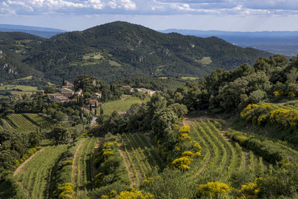 France, Vaucluse (84), Dentelles de Montmirail, les vignes en restanques autour du village de Suzette