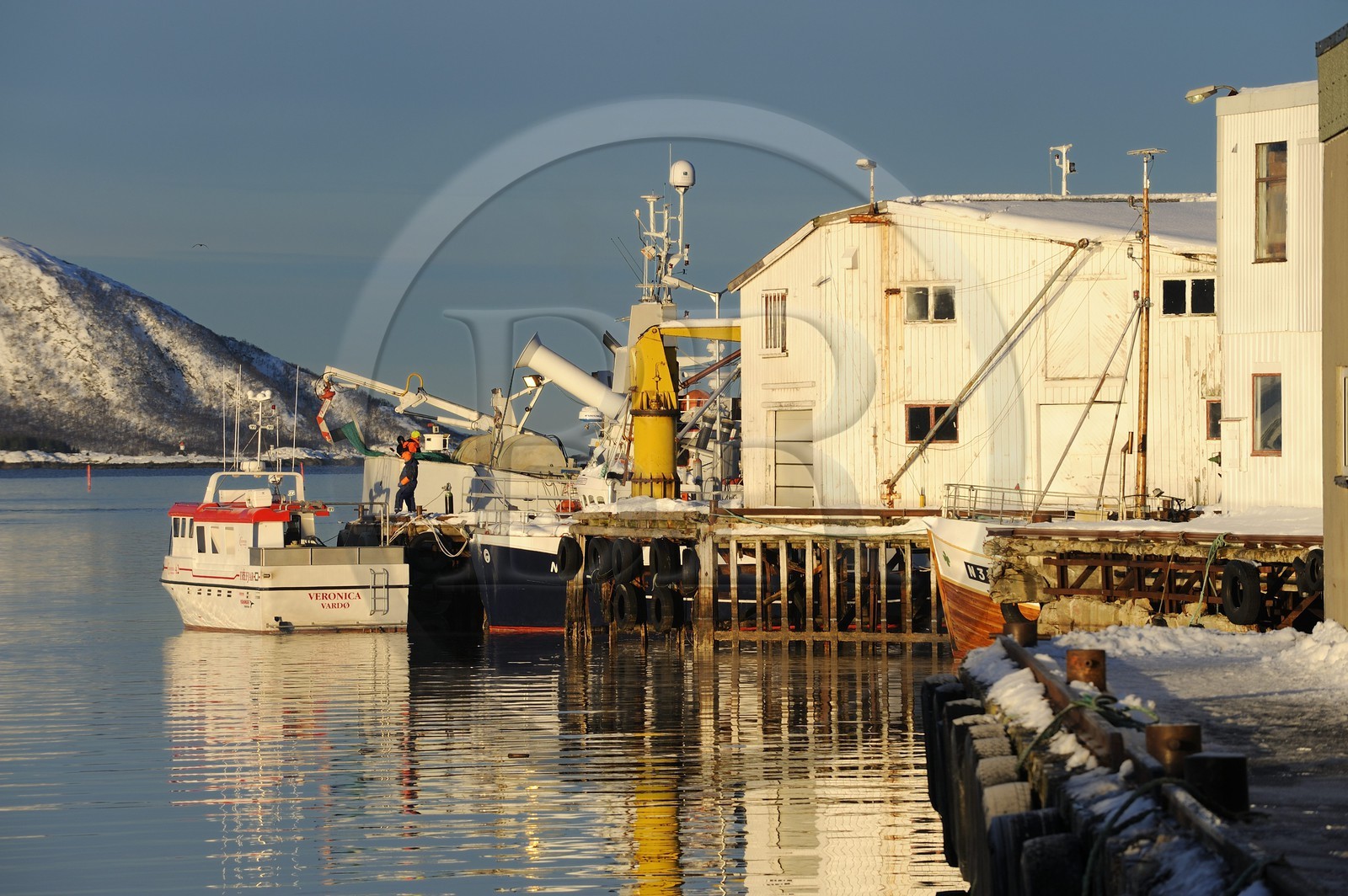 Norvège, Nordland, iles des Westeralen, port de Myre