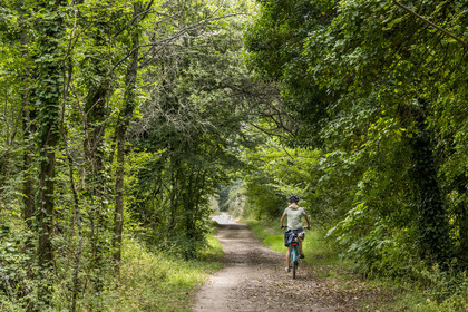France, Morbihan (56), Ile de Groix, cycliste sur le chemin qui mène au Trou de l'Enfer