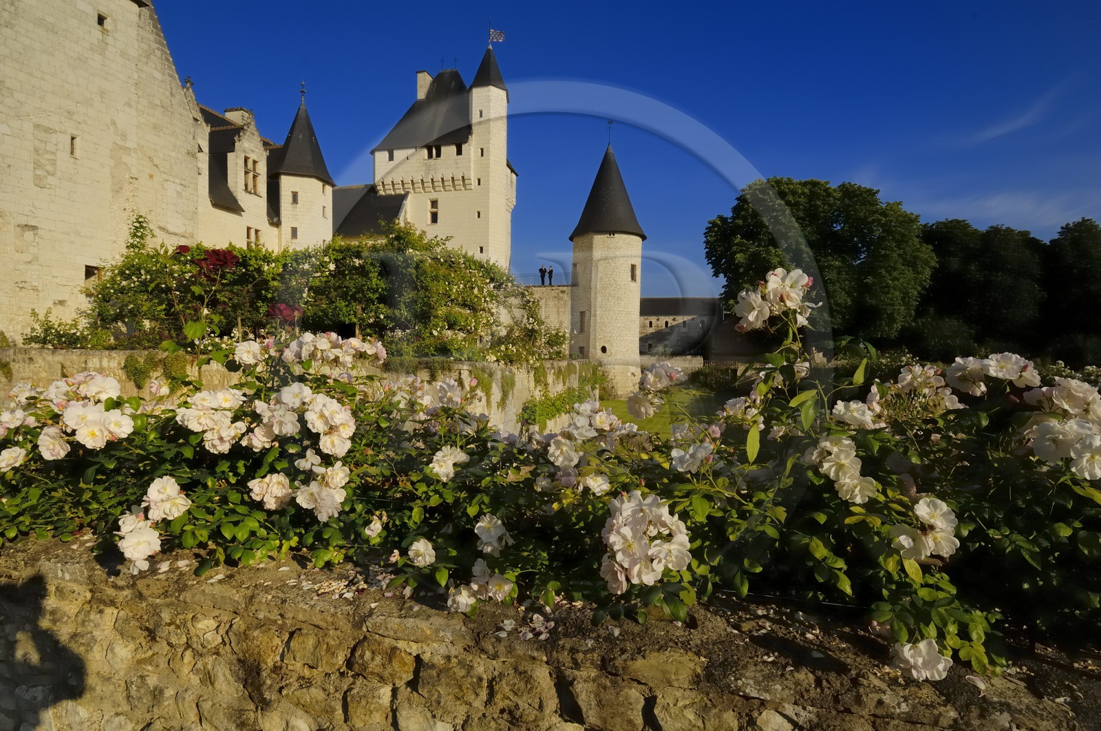 France, Indre et Loire (37), château du Rivau