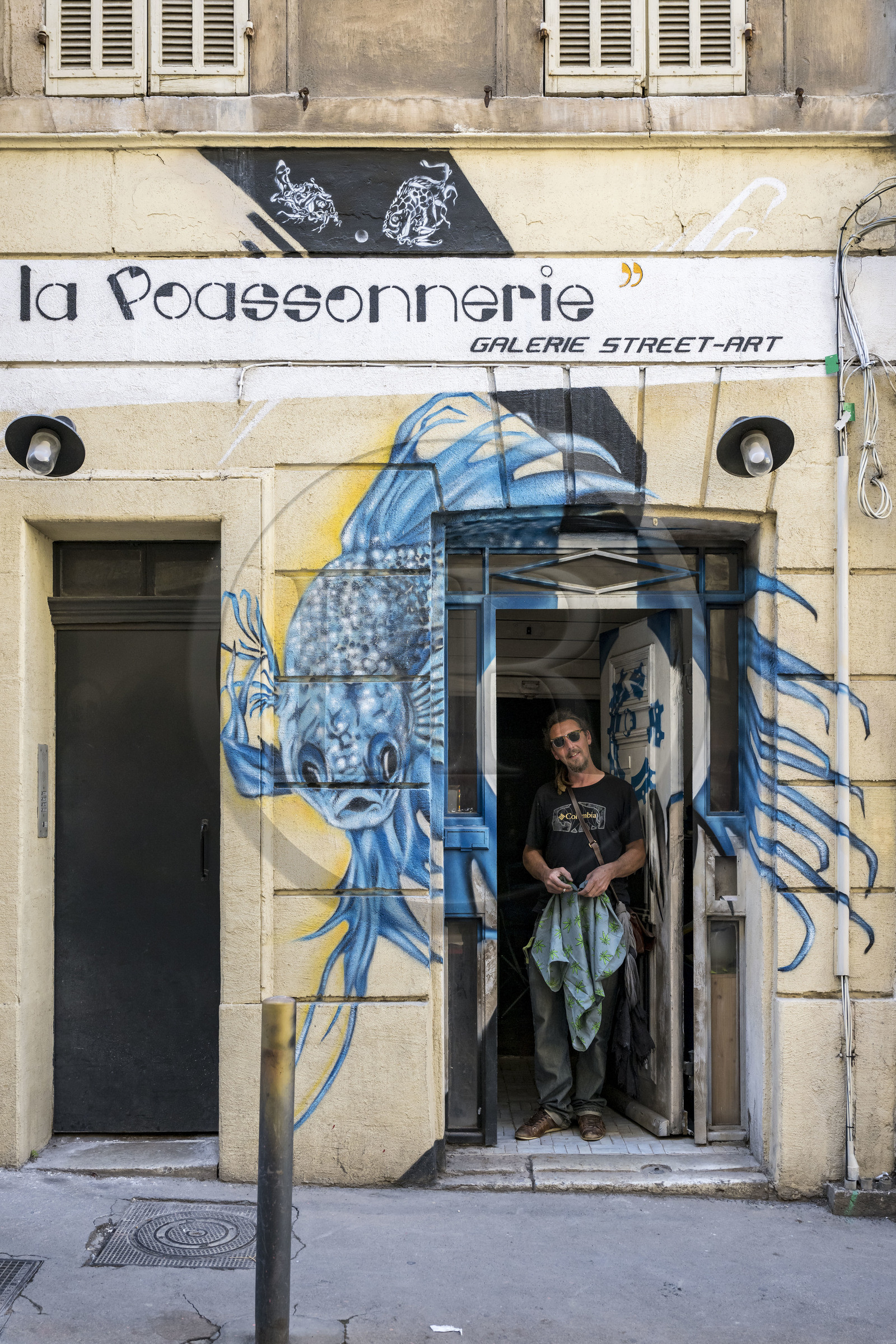 France, Bouches-du-Rhône (13), Marseille, quartier du Panier, le street artiste Loïc Perrel dit Poasson dans son atelier galerie de la rue des Phocéens