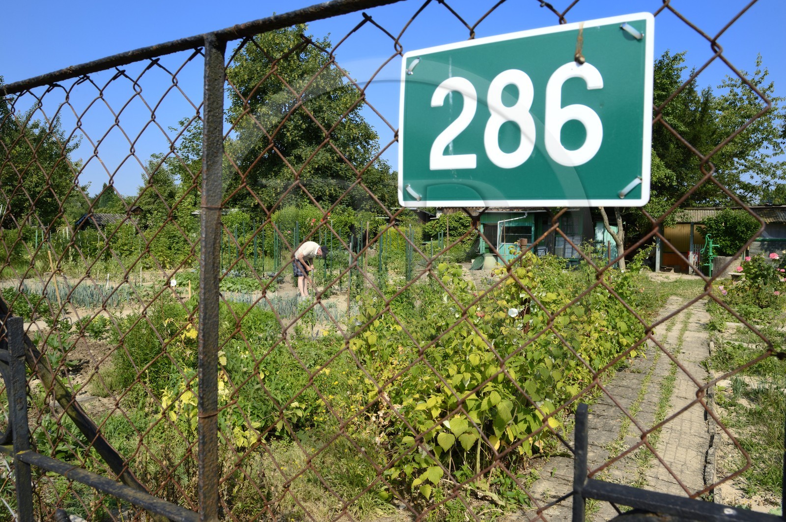 France, Bas-Rhin (67), Strasbourg, quartier de la Robertsau, jardins ouvriers