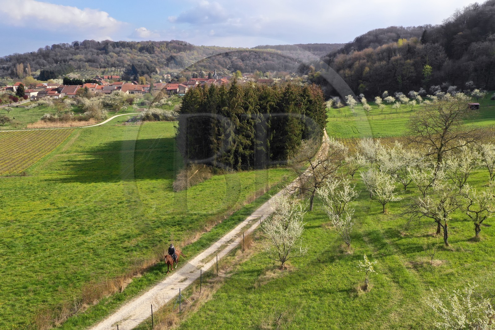 France, Meuse (55), Parc r