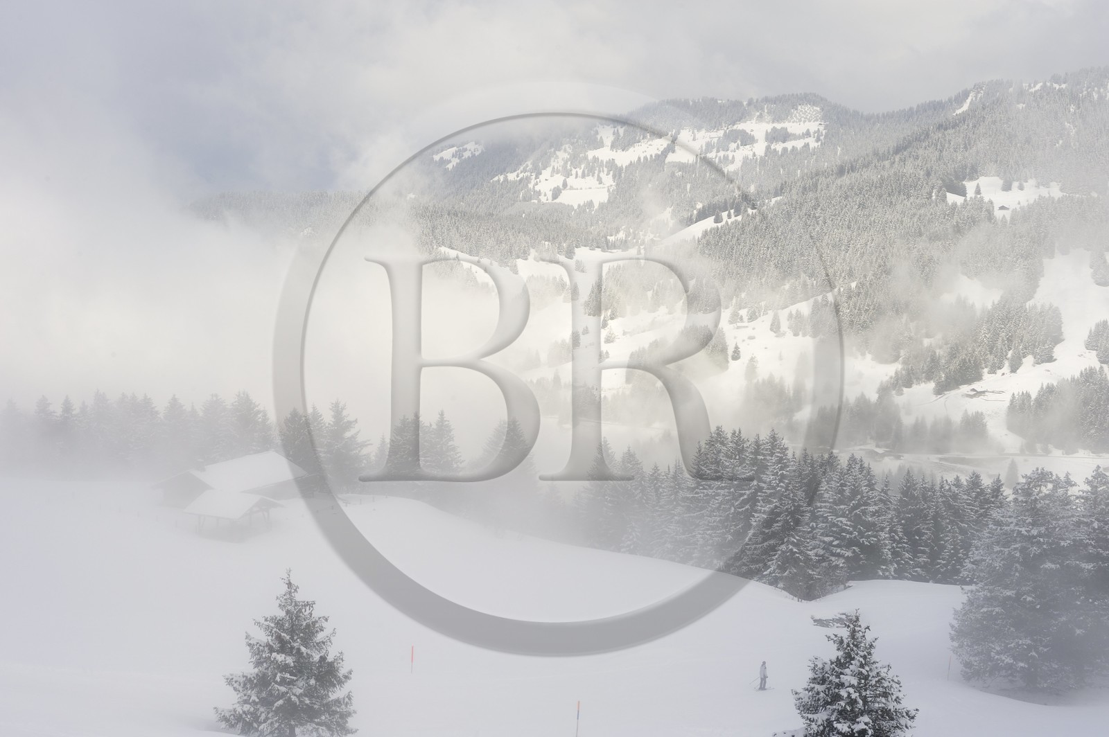 Switzerland, Canton of Vaud, Villars sur Ollon - Gryon ski area