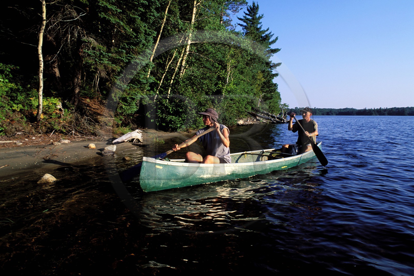 Canada, province de Québec, Réserve faunique de la Vérendrye, halte sur un des îlots du Grand Lac Victoria
