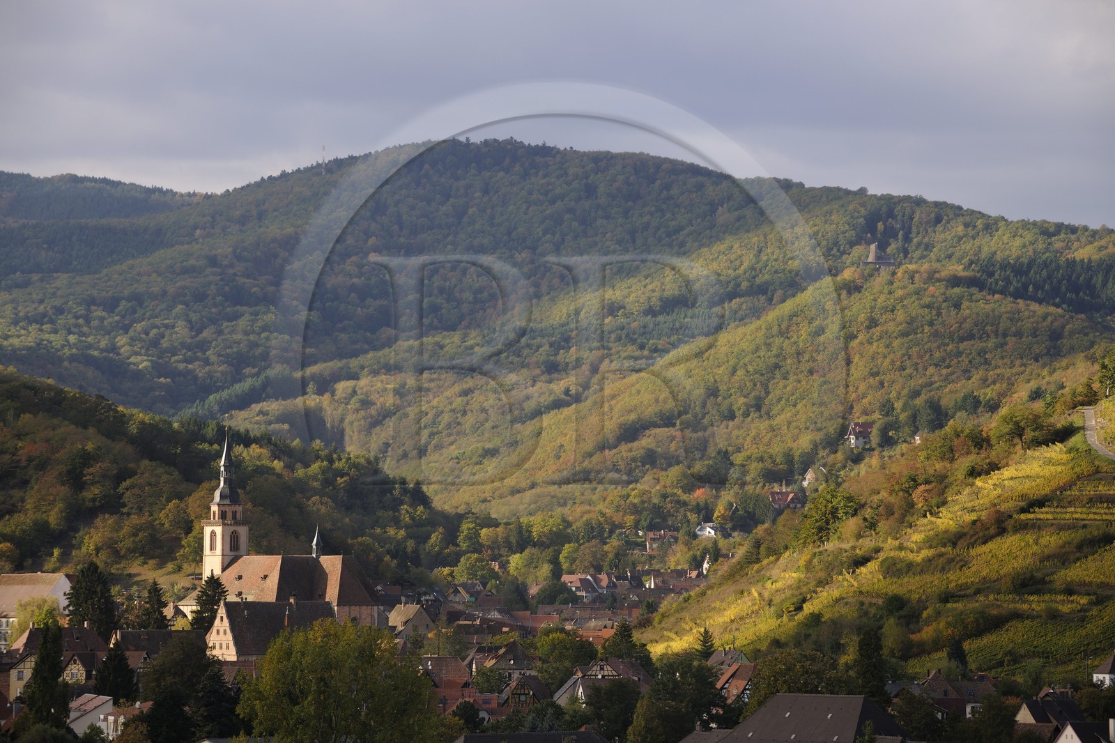 France, Bas-Rhin, Andlau at the base of the Vosges Mountains