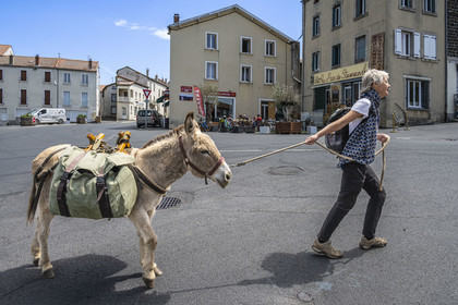 France, Haute-Loire (43), Landos, randonnée avec un âne sur le chemin de Stevenson (GR 70), traversée du village