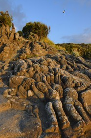 France, Ille-et-Vilaine, St Malo, Rotheneuf, stones sculpted by Foure abbot between 1870 and 1917