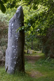 France, Morbihan (56), Moustoir-Ac, Menhir de Kerara