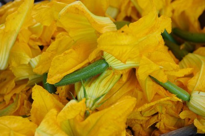 France, Var (83), Provence Verte, Saint-Maximin-la-Sainte-Baume, le marché, courgettes en fleur