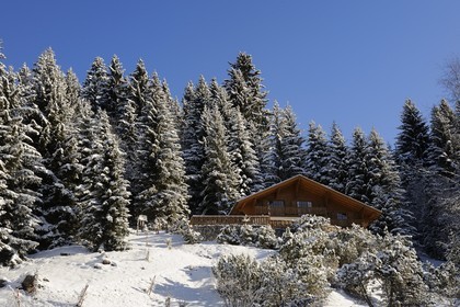 Suisse, Canton de Vaud, Villars sur Ollon, chalet sous la neige