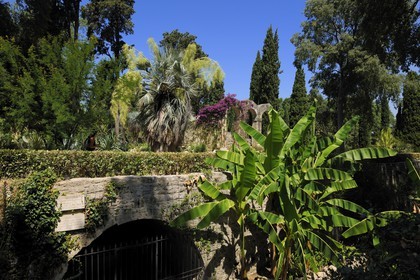 France, Hérault (34), Montpellier, le Jardin des Plantes