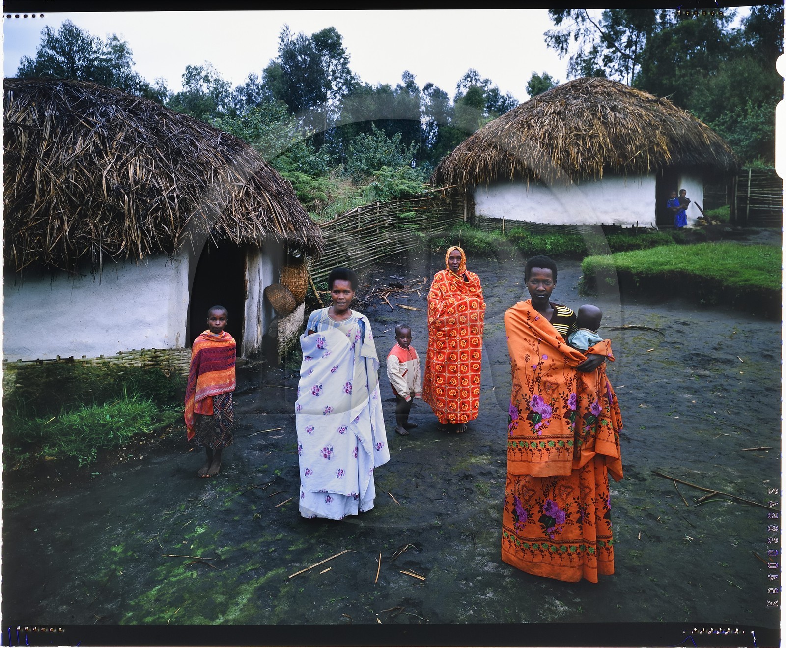 Burundi, province de Bujumbura, région d'Ijenda, famille Tutsi dans l'enceinte principale du rugo (ferme traditionnelle) (reproduction plan-film inversible 4x5)