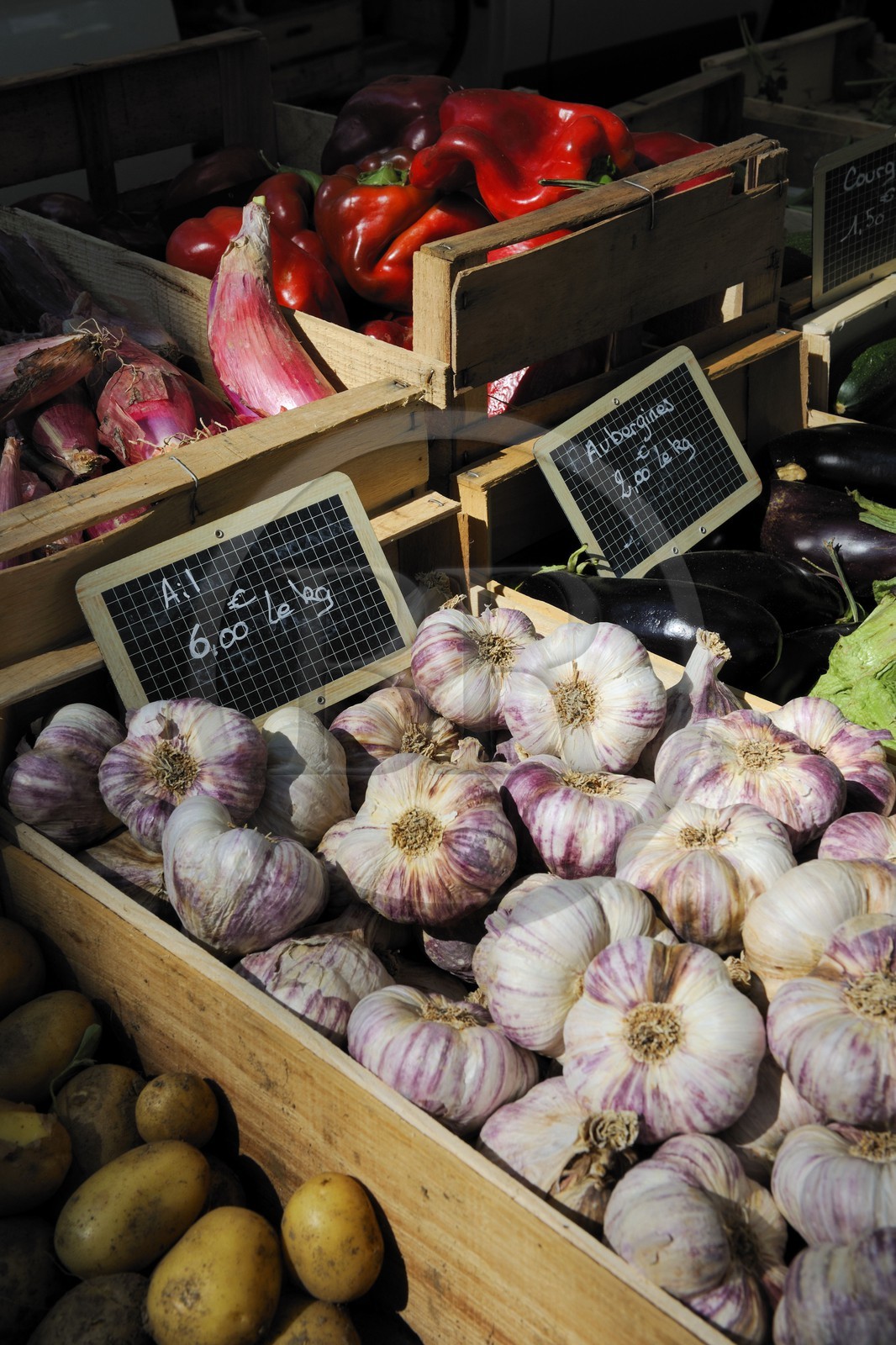 France, Hérault (34), Montpellier, Marché des Arceaux sous l'Aqueduc Saint Clément, étal de fruits et légumes, ail