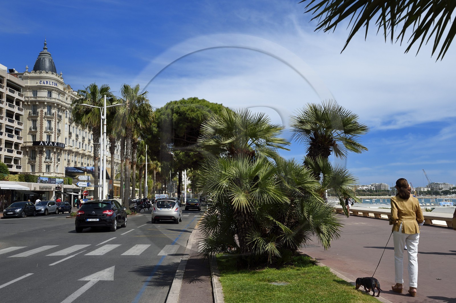 France, Alpes-Maritimes, Cannes, the Carlton palace on the boulevard de la Croisette