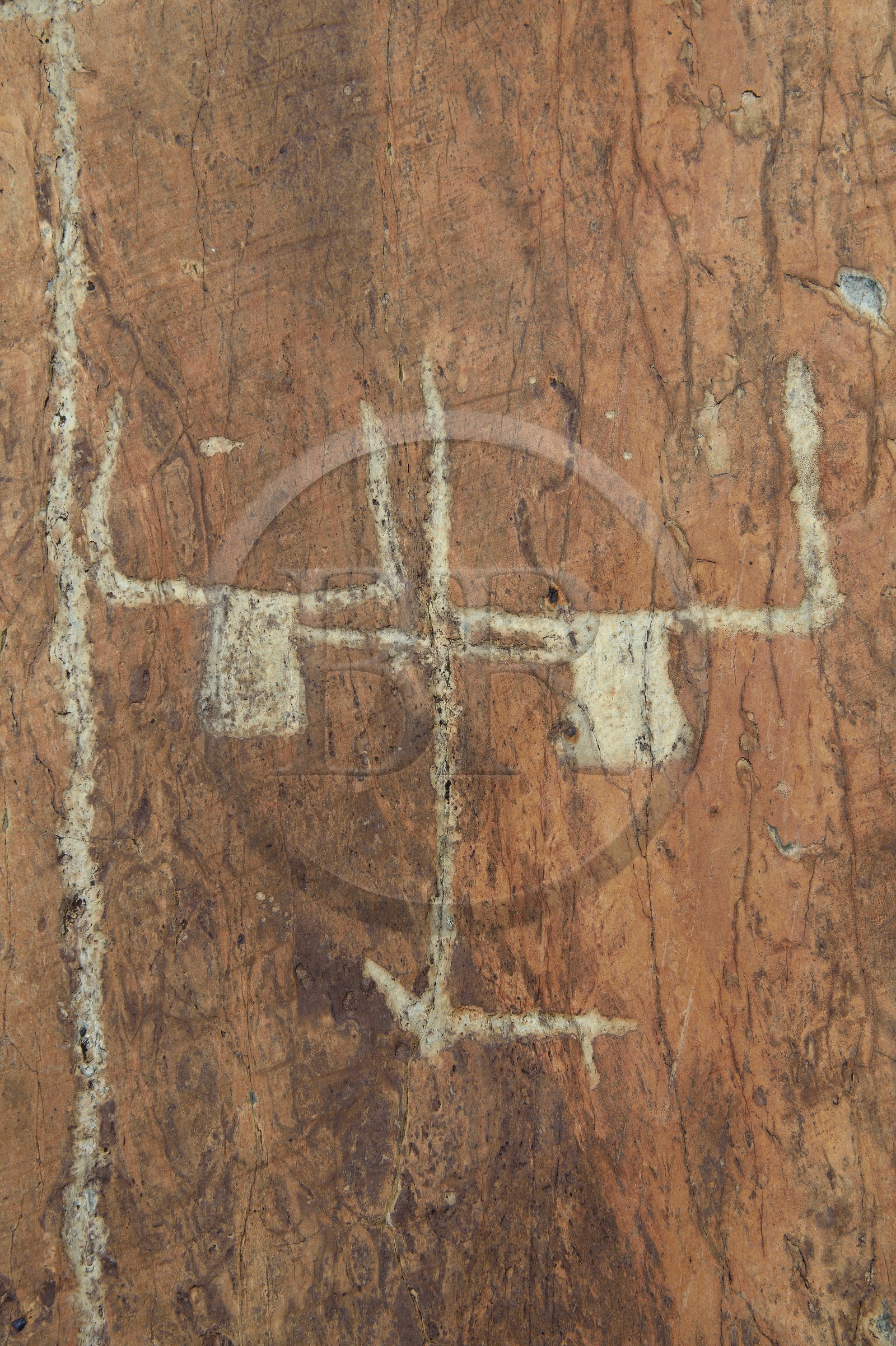 France, Alpes-Maritimes (06), parc national du Mercantour, Vallée des Merveilles parsemée de milliers de gravures rupestres de l'Age de bronze, dalles de schiste jaune des chiappes, figure corniforme représentant probablement un attelage de bœufs et son araire