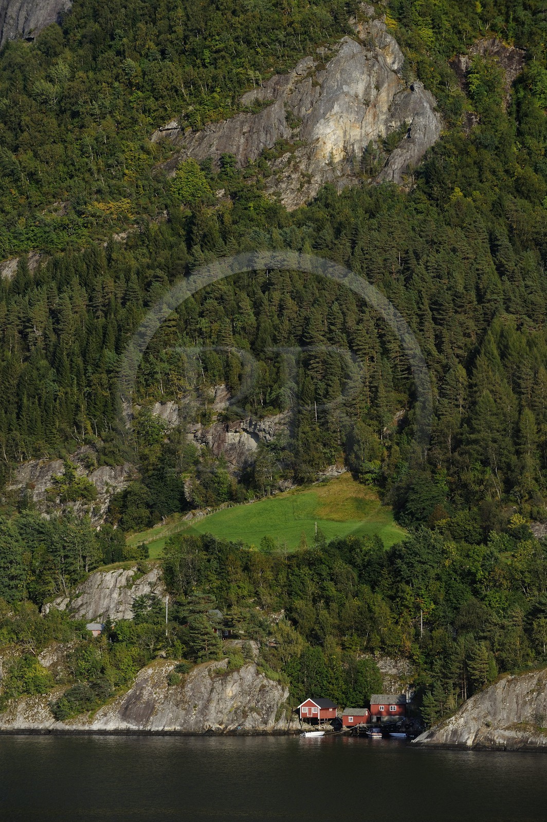 Norway, Hordaland, Hardanger fjord
