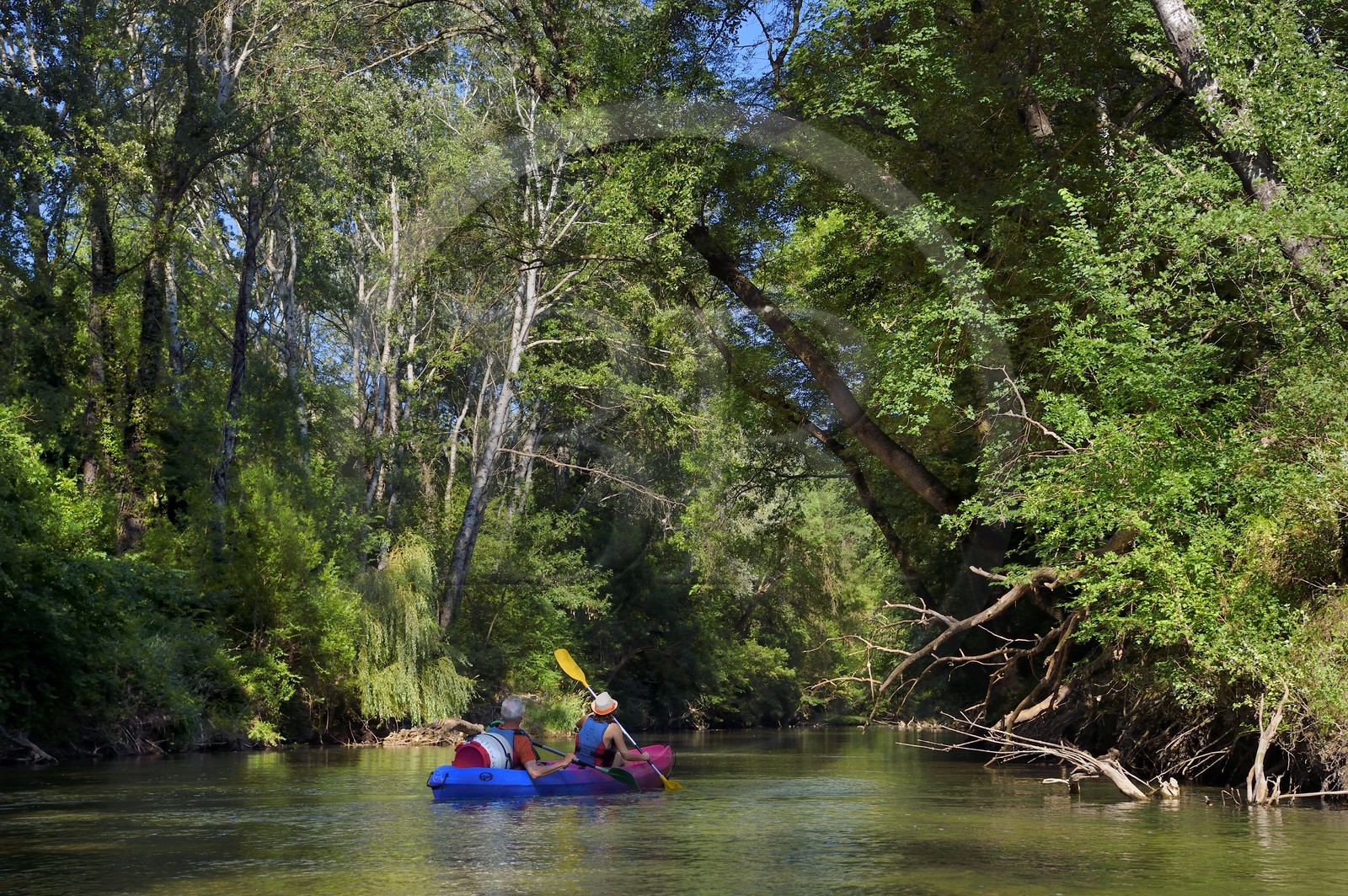 France, Var, Provence Verte, canoeing on the river Argens between Carces and Le Thoronet