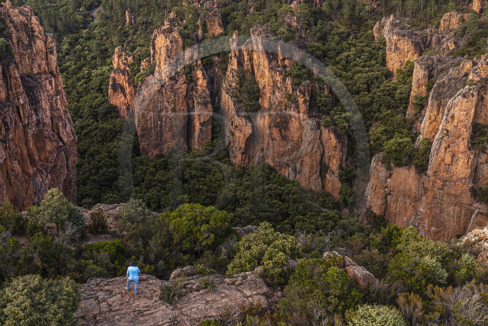France, Var, between Bagnols en Foret and Roquebrune sur Argens, hiker at the entrance of the Gorges du Blavet (aerial view)