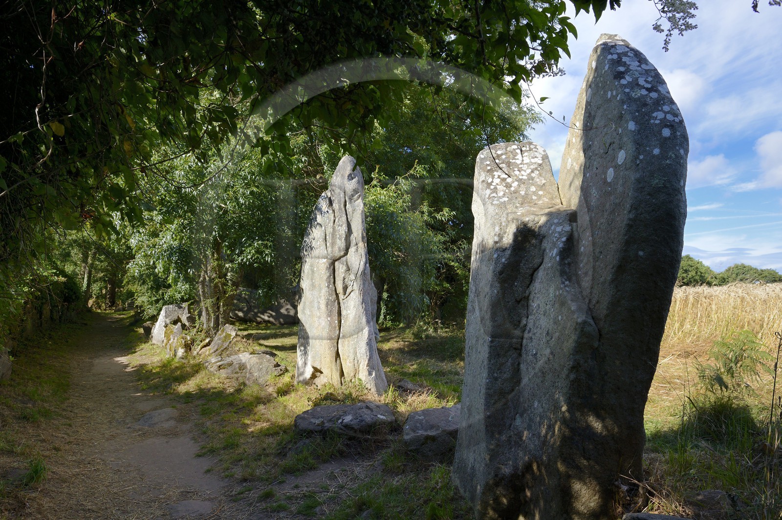 France, Morbihan, Erdeven, row of megalithic standing stones of Kerzerho