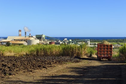 France, Ile de la Reunion, Saint-Louis, l'usine sucrière du Gol derrière les champs de canne à sucre