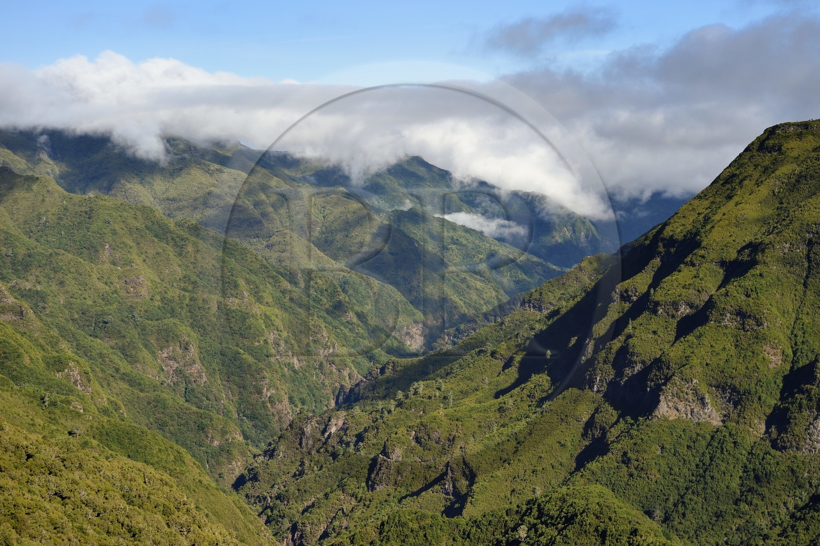 Portugal, Ile de Madère, randonnée par la levada do Alecrim dans La forêt de Rabaçal, la forêt Laurissilva classée Patrimoine Mondial de l'UNESCO, unique vestige de la forêt primaire qui recouvrait le sud de l’Europe il y a des millions d’années, la vallée sauvage de 18 km Ribeira da Janela qui descend vers la mer