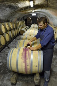 France, Meurthe-et-Moselle, Bruley, Côtes de Toul wine barrels in the cellars of domaine Laroppe, Vincent Laroppe