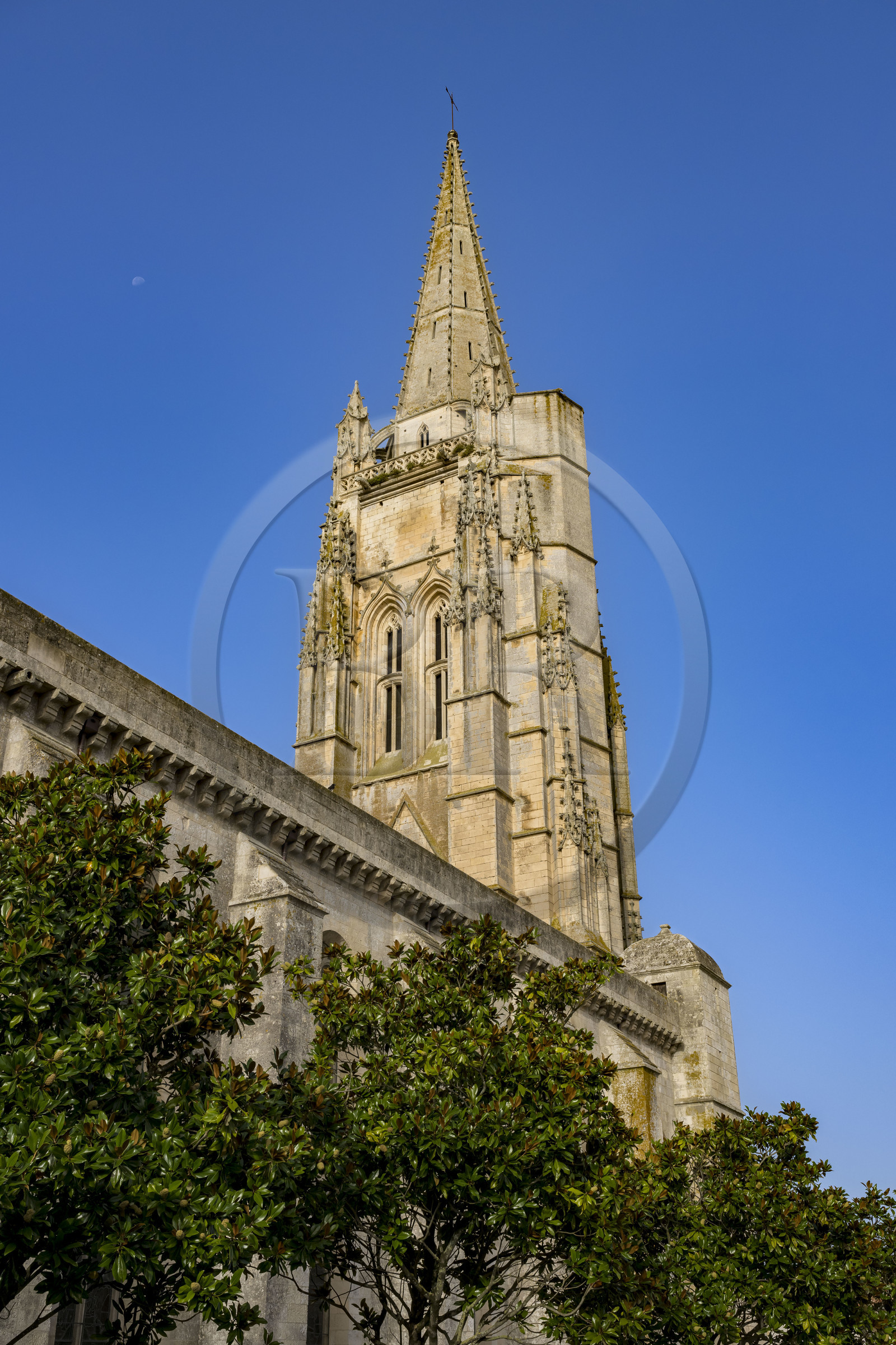 France, Charente Maritime, Saintonge, the Saint-Pierre-de-Sales church in the town center of Marennes