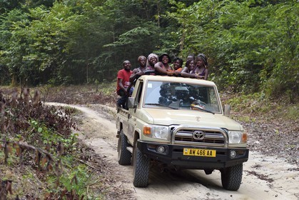 Gabon, province de Ogooué- Maritime, Omboué, région du Loango, pick-up sur une piste en forêt