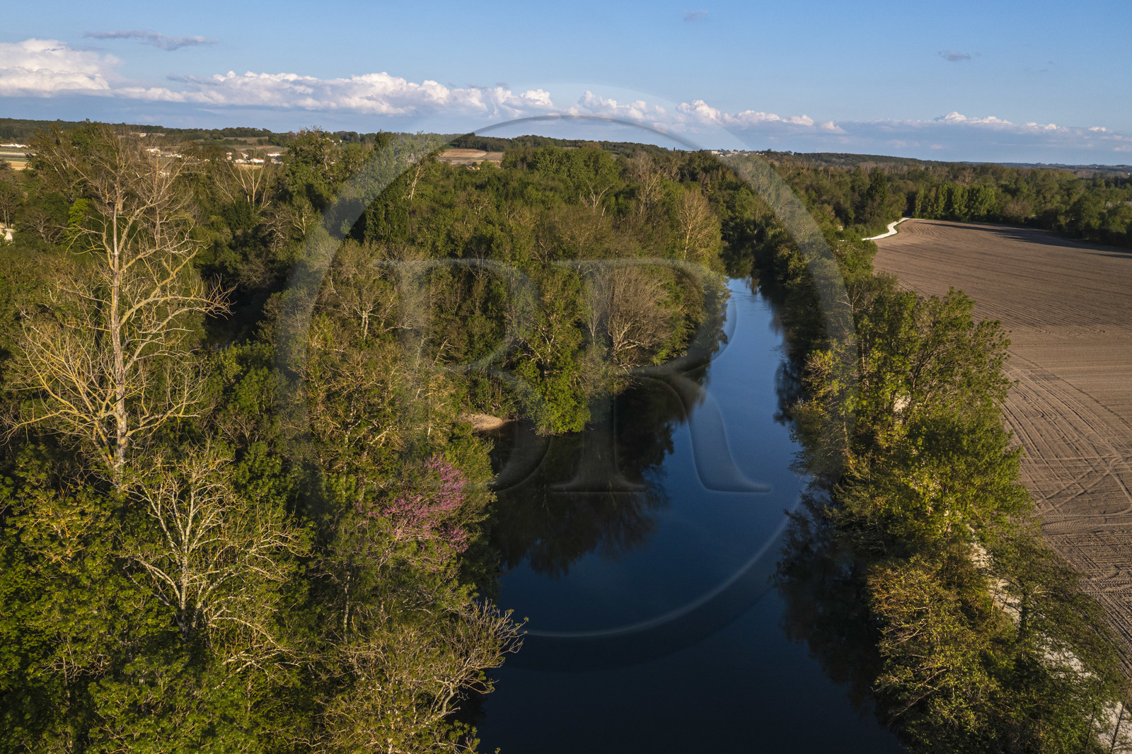 France, Charente, Saint Simon, the Charente still very natural upstream of the village and the old towpath now the Flow Vélo cycle route on the right (aerial view)