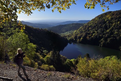 France, Haut-Rhin (68), Parc naturel régional des ballons des Vosges, Rimbach-près-Masevaux, randonneur marchant sur le GR5 au dessus du Lac des Perches, la plaine d'Alsace et les Alpes en arrière plan
