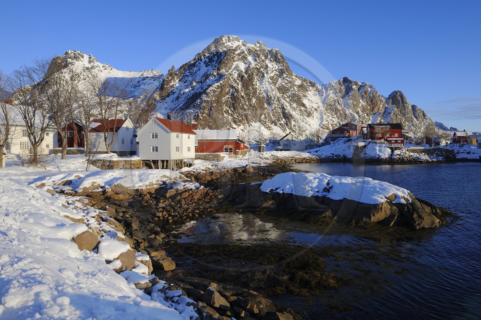 Norvège, Nordland, Iles Lofoten, le port de Svolvaer