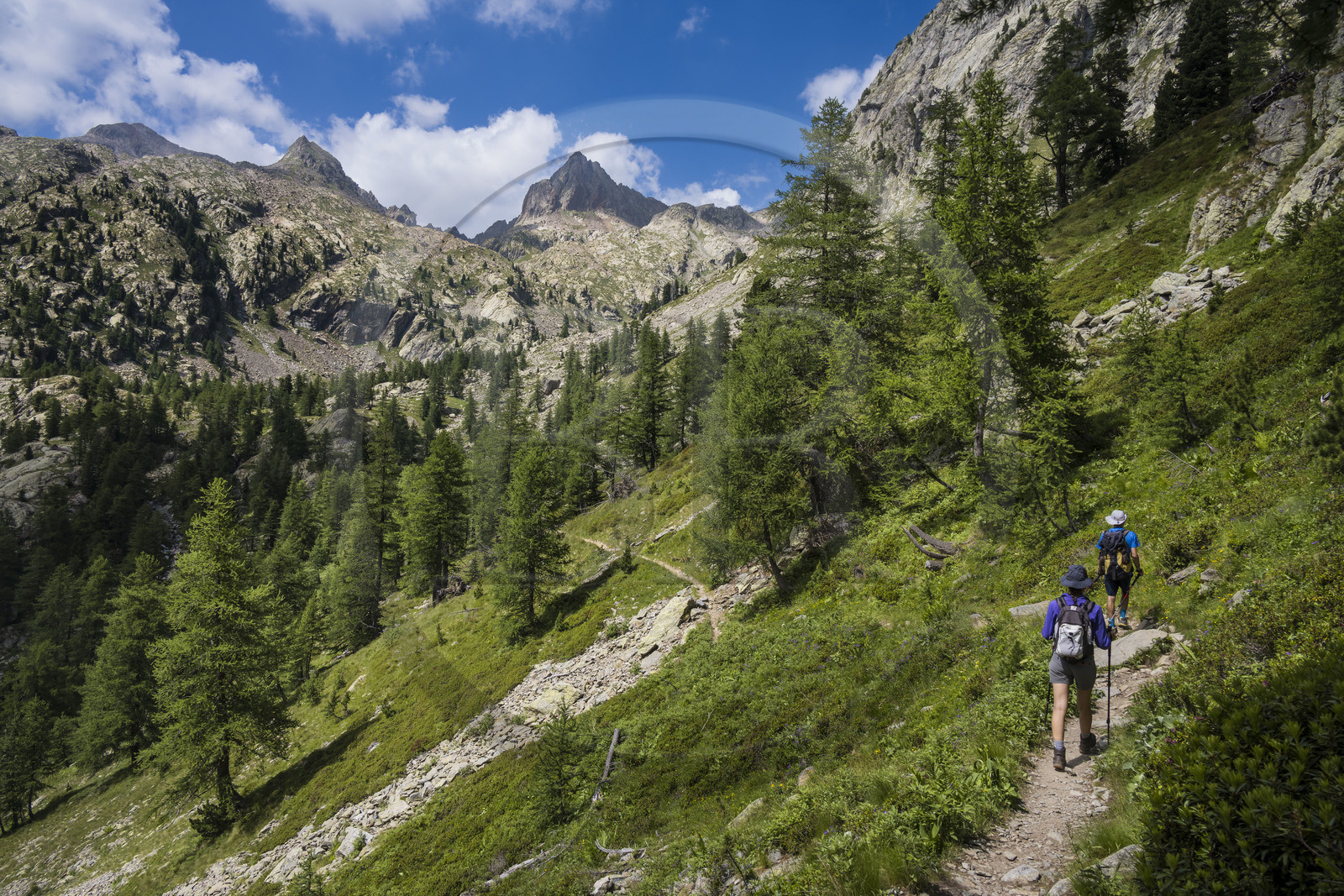 France, Alpes-Maritimes (06), parc national du Mercantour, Haute-Vésubie, Saint-Martin-Vésubie, Val du Haut Boréon, randonneurs en marche pour le refuge de Cougourde, le Mont Pelago à gauche et la Cime Guilié (2999m) à droite en arrière-plan