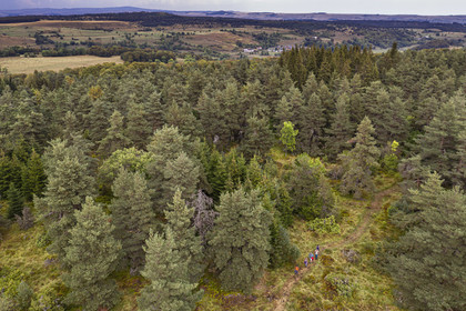 France, Cantal (15), Parc Naturel Régional des Volcans d'Auvergne, entre le bois de Chavagnac et le plateau de Chastel-sur-Murat, randonneurs sur le chemin de Saint-Jacques de Compostelle par la Via Arverna (vue aérienne)