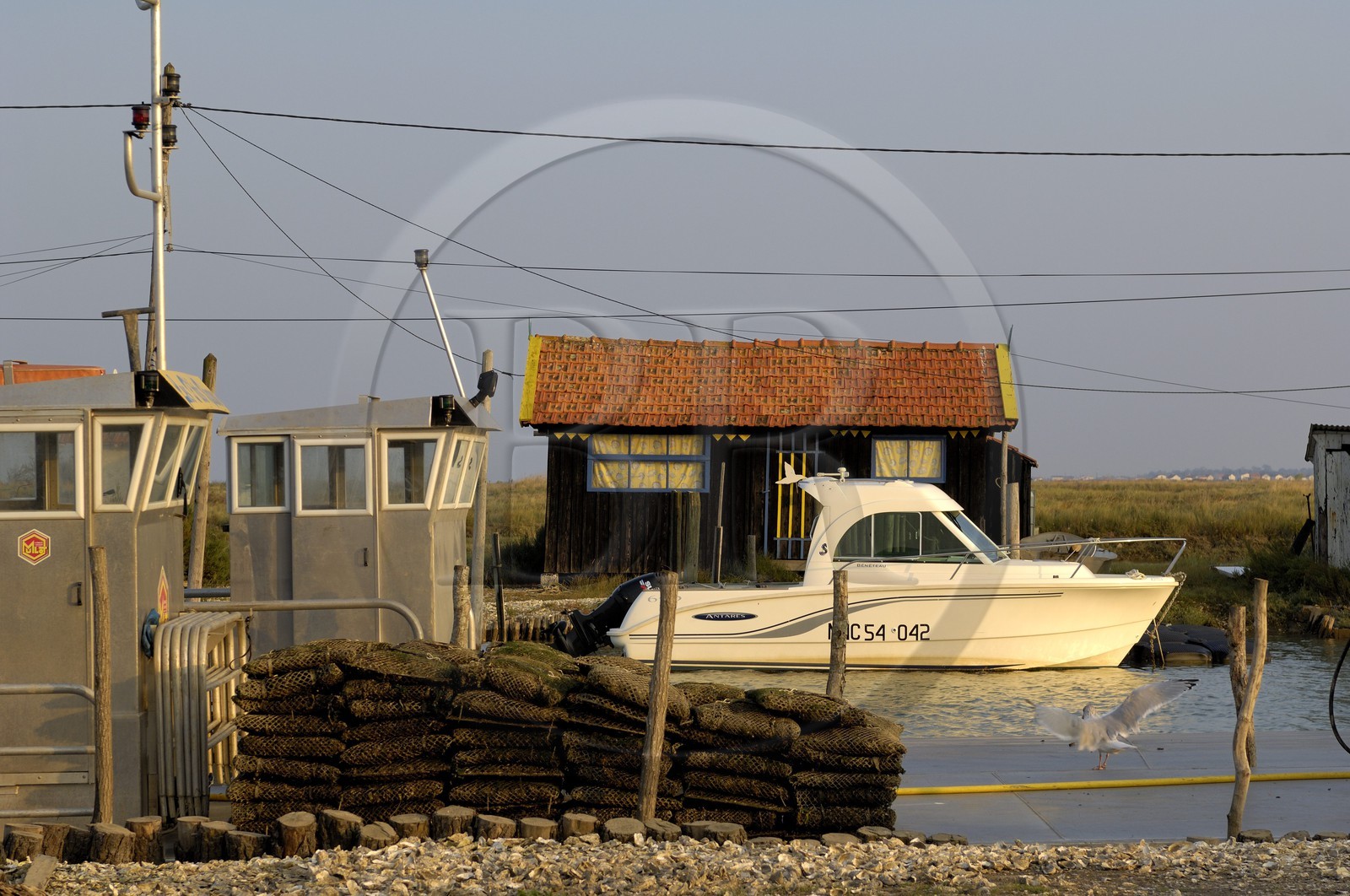 France, Charente-Maritime (17), bassin de Marennes-Oléron, La Tremblade, port de la grève