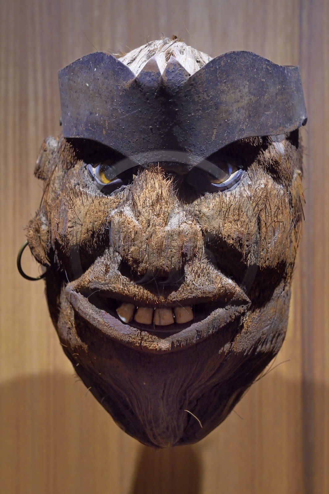 France, Var (83), Saint-Tropez, citadelle du XVIe siècle, musée d'Histoire maritime tropézienne, tête de marin sculptée dans une noix de coco