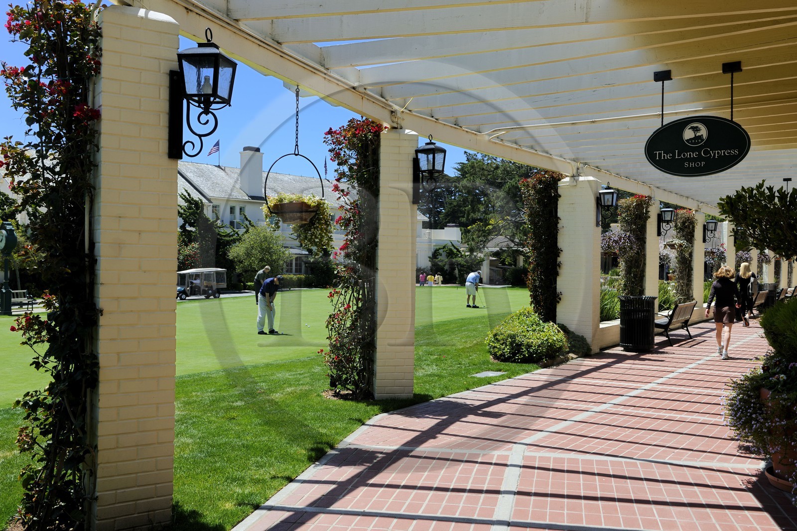 United States, California, 17 Mile Drive, golf of Pebble Beach