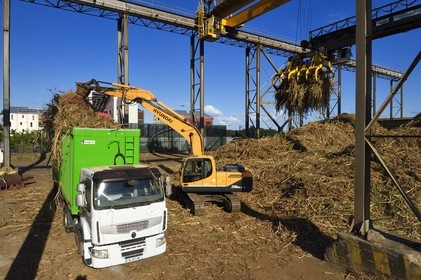 France, Ile de la Reunion, Saint-Pierre, Grands Bois, un des 11 centres de réception et de collecte de la canne à sucre aussi appelés Balance, les tracteurs amènent depuis les champs la canne dans des remorques, elle est ensuite pesée et chargée dans de grands camions appelés cachalots pour être acheminée vers l'usine sucrière du Gol