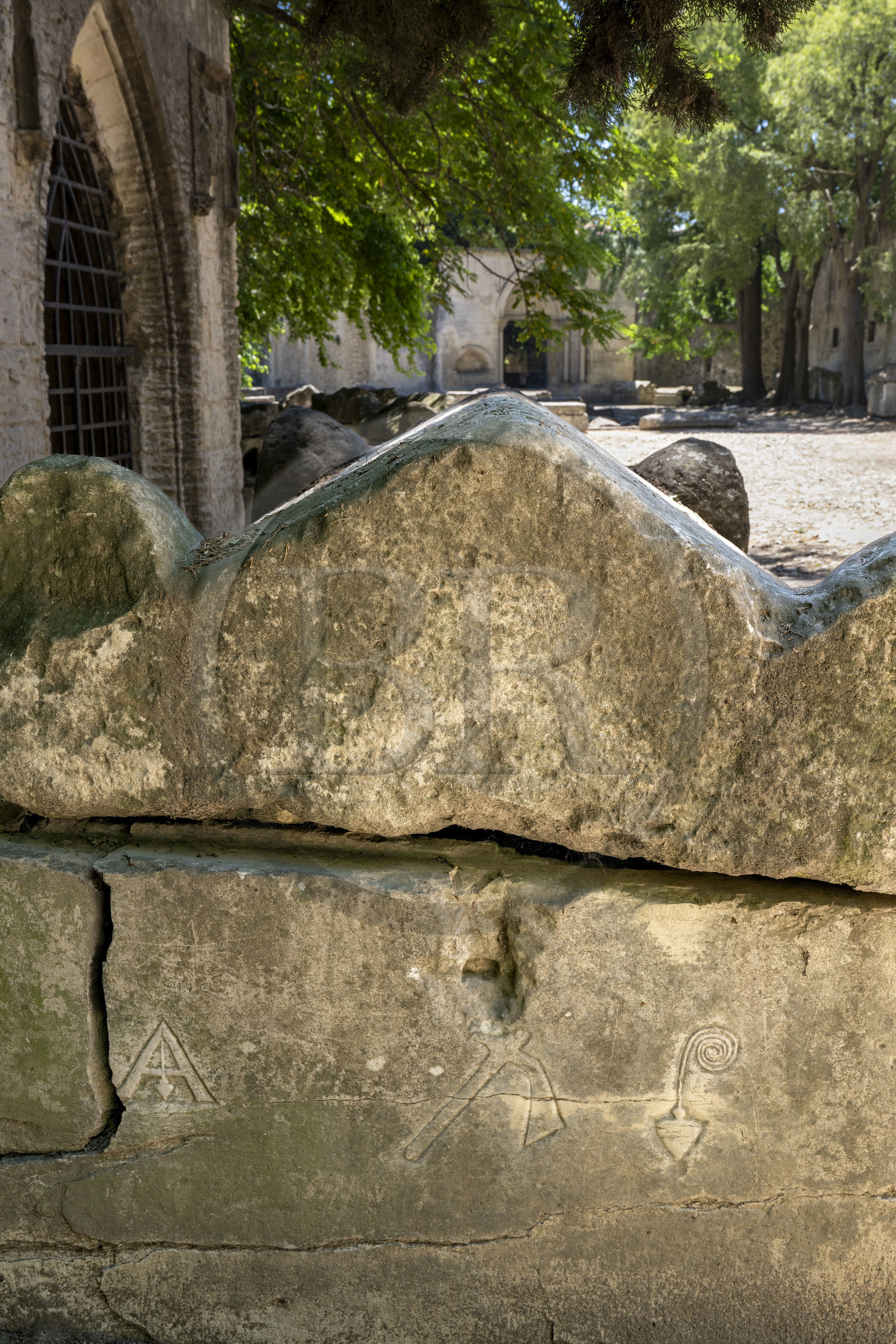 France, Bouches-du-Rhône (13), Arles, les Alyscamps, site classé Patrimoine Mondial de l'UNESCO, nécropole païenne puis chrétienne de l'époque romaine au Moyen Age, comprenant de très nombreux sarcophages
