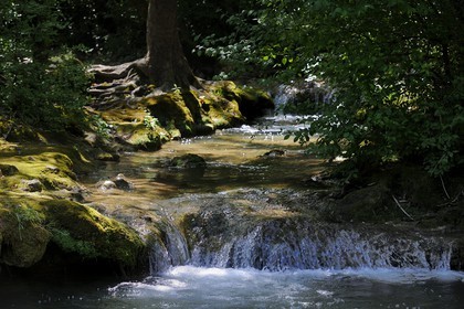 France, Var, Provence Verte, Tourves, the Caramy river in the Caramy Gorge