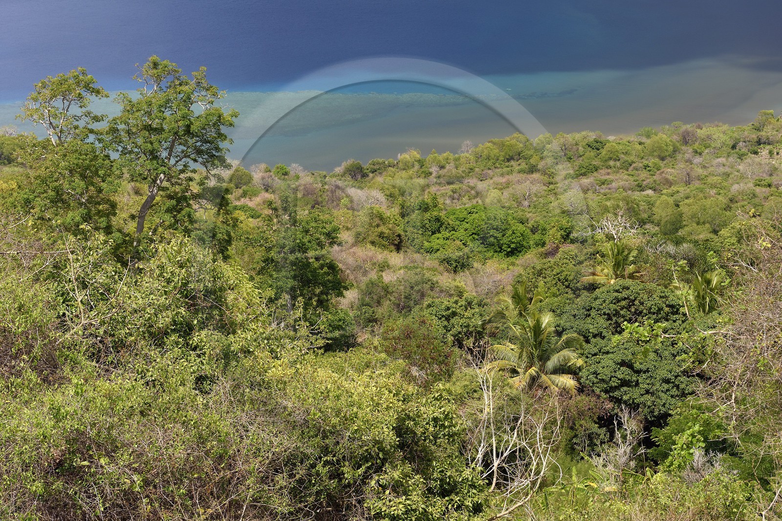 France, Ile de Mayotte, Grande-Terre, M'Tsamoudou, pointe de Saziley