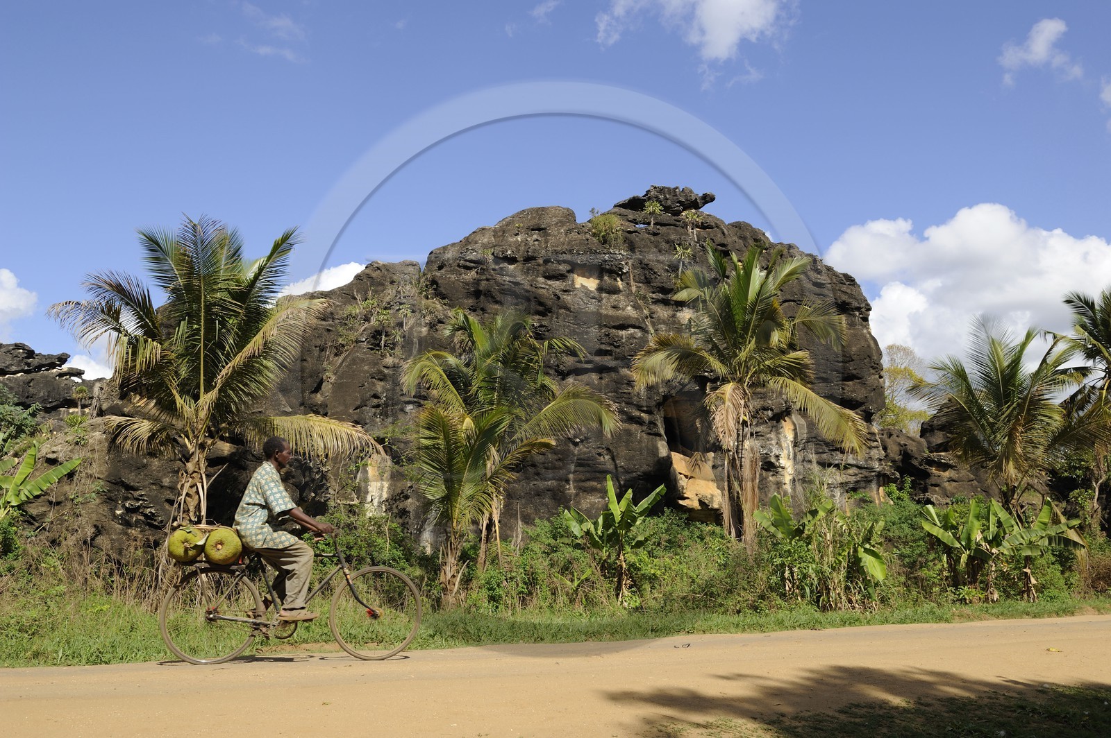 Tanzania, Morogoro district, Uluguru mountains, cyclist carrying jackfruit on the Matombo track