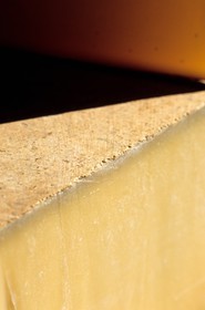 France, Doubs (25), Fort Saint Antoine, cave d'affinage du Comté de montagne