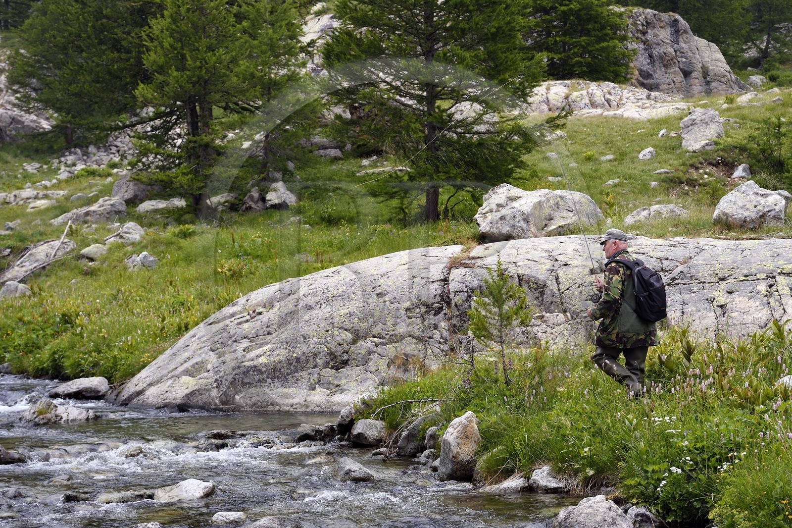 France, Alpes-Maritimes (06), parc national du Mercantour, vallée de la Valmasque, pêche à la mouche