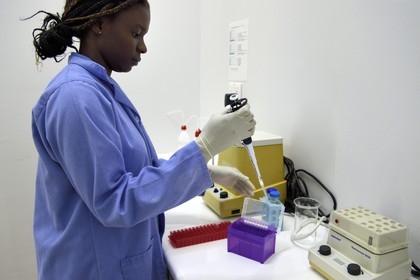 Namibia, Otjiwarongo, Cheetah Conservation Fund, research and education centre, Pipetting by Harmony in cheetah's feces analysis room in order to extract DNA