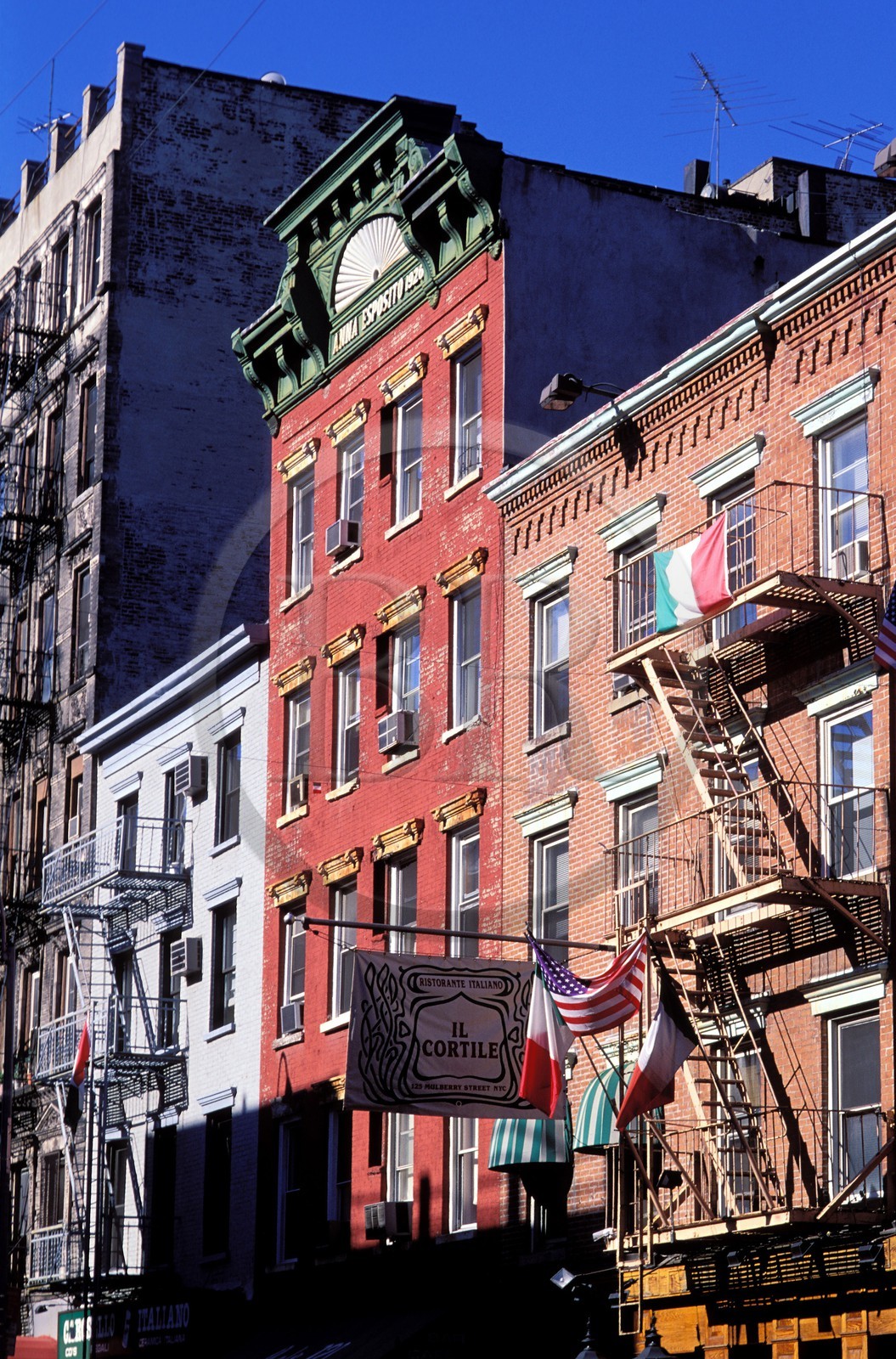 Etats-Unis, New York, Manhattan, Little Italy (Mulberry Street)