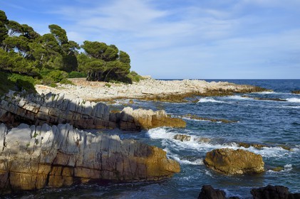 France, Alpes-Maritimes, Antibes, Cap d'Antibes, the path of Cape Coast (Cap Gros to l'Anse de l'Argent Faux)