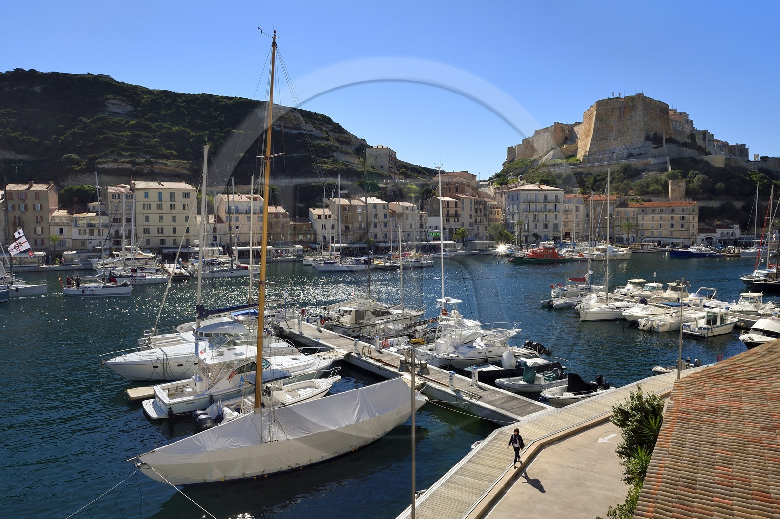 France, Corse du Sud, Bonifacio, the port overlooked by the Citadel in the upper town