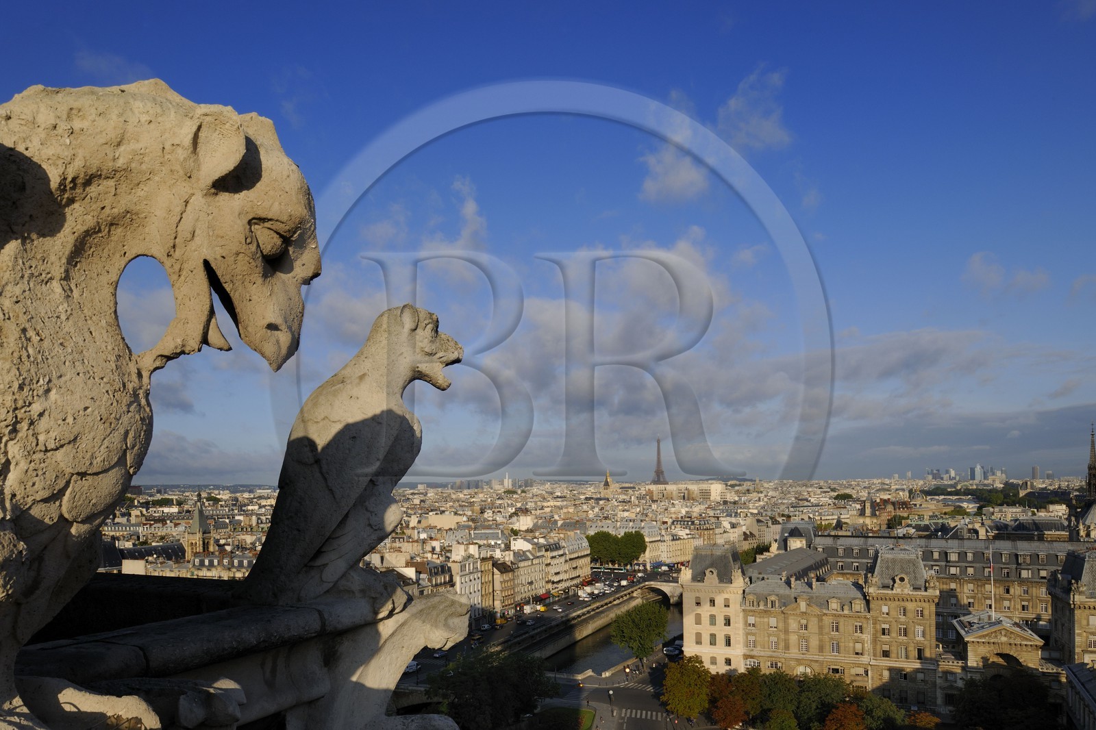 France, Paris (75), île de la Cité, la cathédrale Notre-Dame, les chimères observent la ville